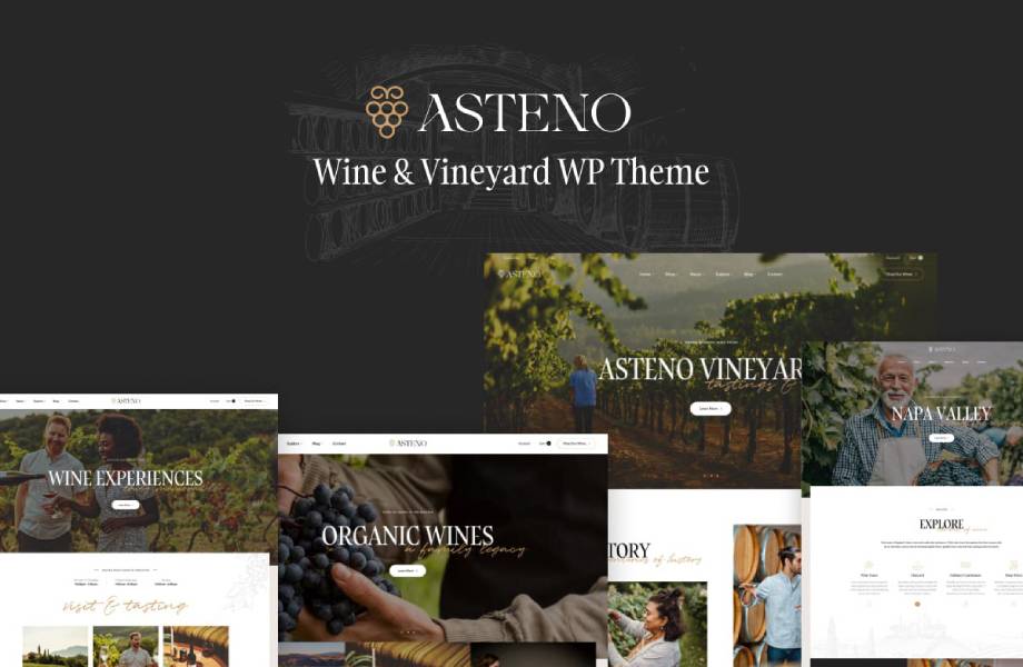 Asteno - Wine & Vineyard WP Theme